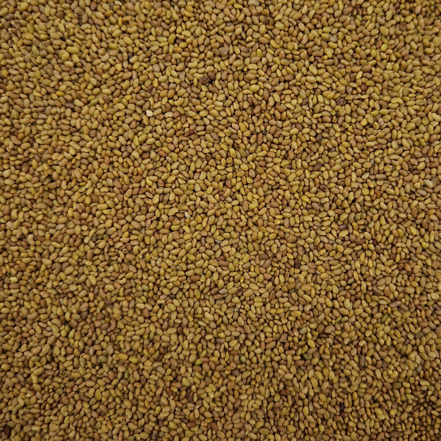 Alfalfa Demetra EKO 200g