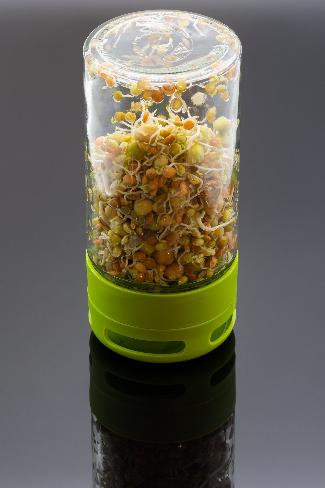 Startpaket Groddar 2