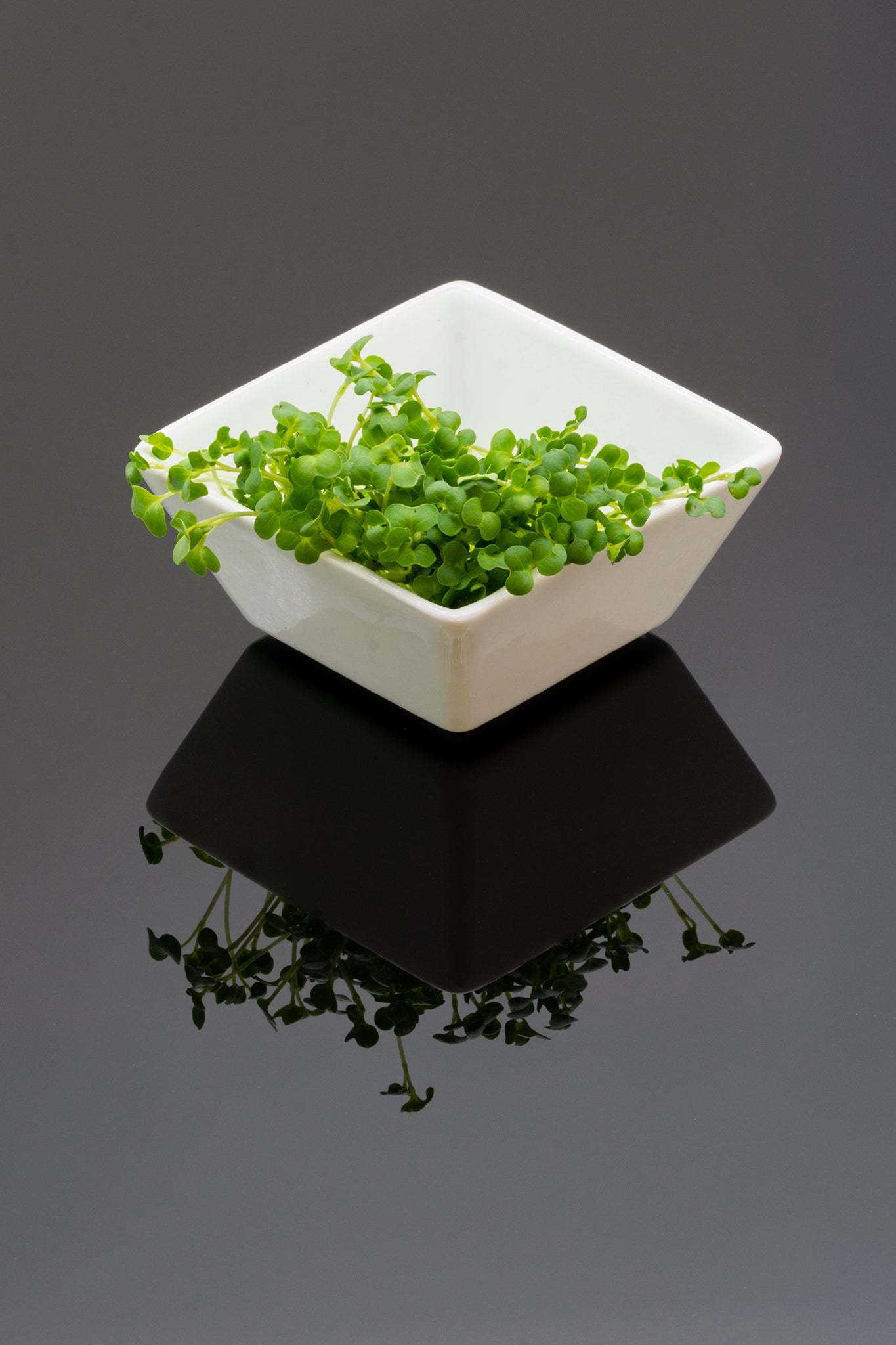 Broccoli Raabs EKO 200gram