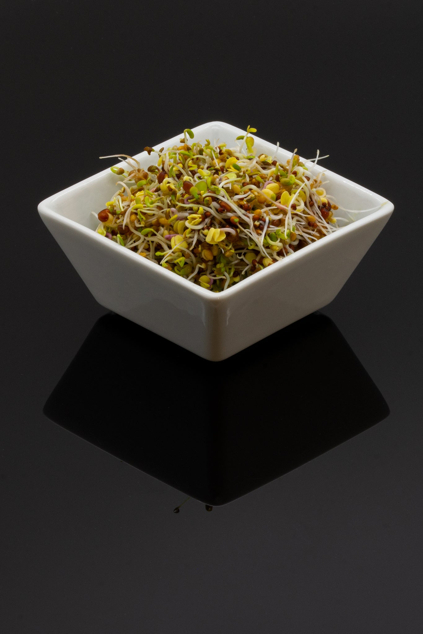 Salladsmix EKO 100gram