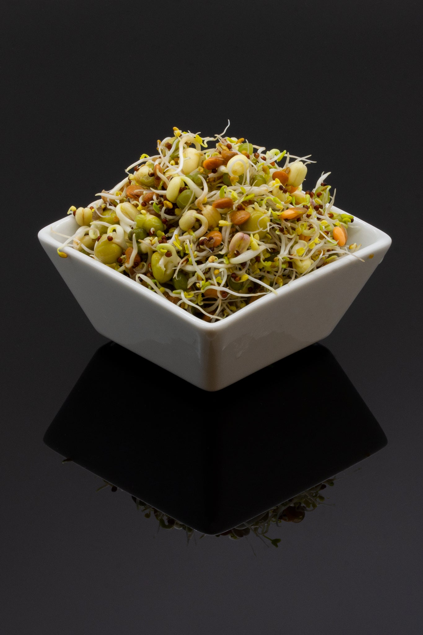 Startpaket Groddar 3