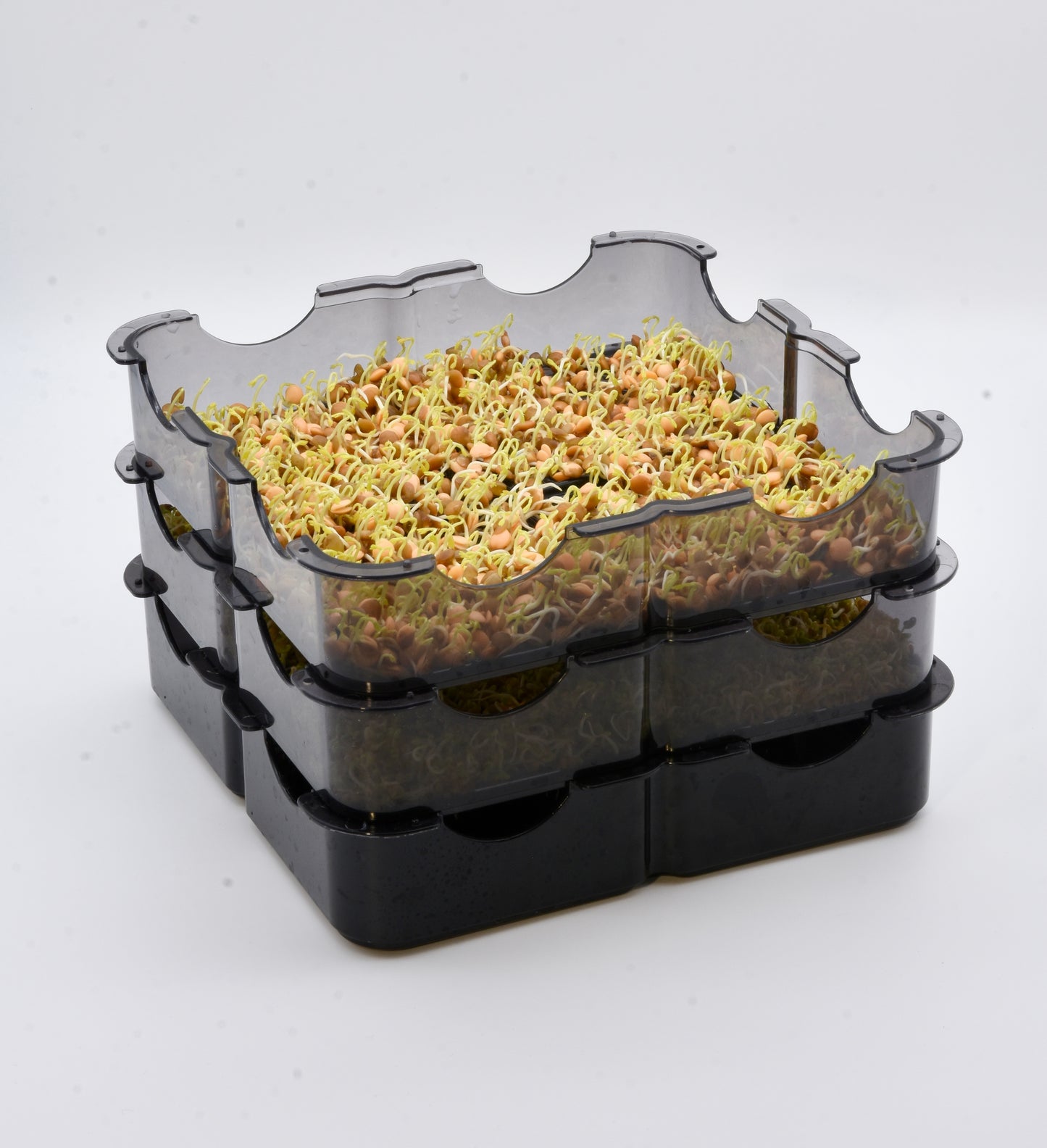 Groddtorn GermoglioSì Modell Smart