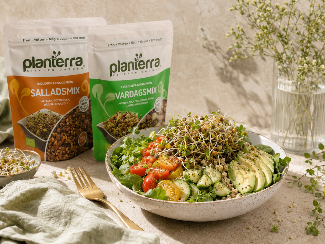 Fräsch salladsbowl med Vardagsmix och Salladsmix