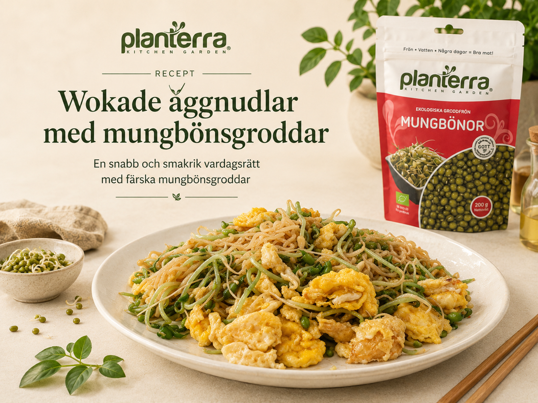 Wokade äggnudlar med mungbönsgroddar