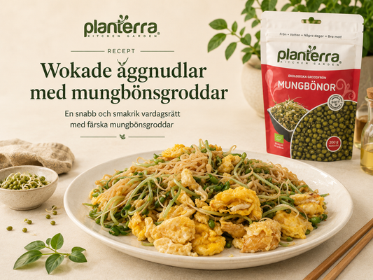 Wokade äggnudlar med mungbönsgroddar