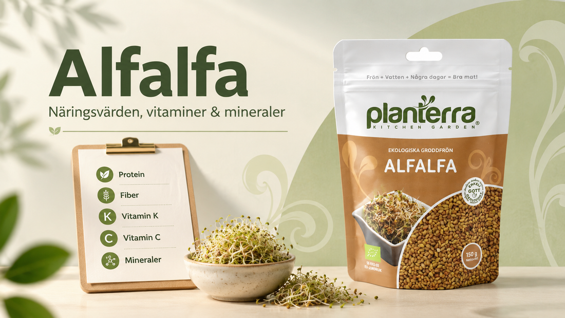 Alfalfa – näringsvärden, vitaminer och mineraler