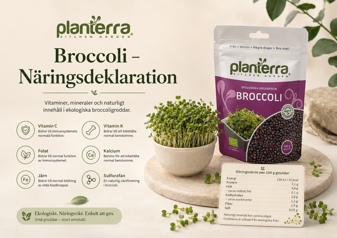 Broccoli – näringsvärden, vitaminer och mineraler