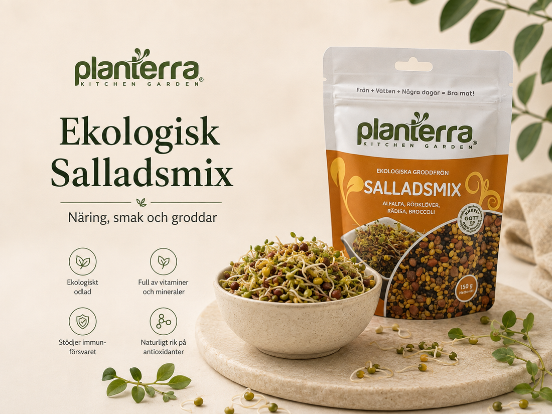 Salladsmix – näringsvärden, vitaminer och mineraler