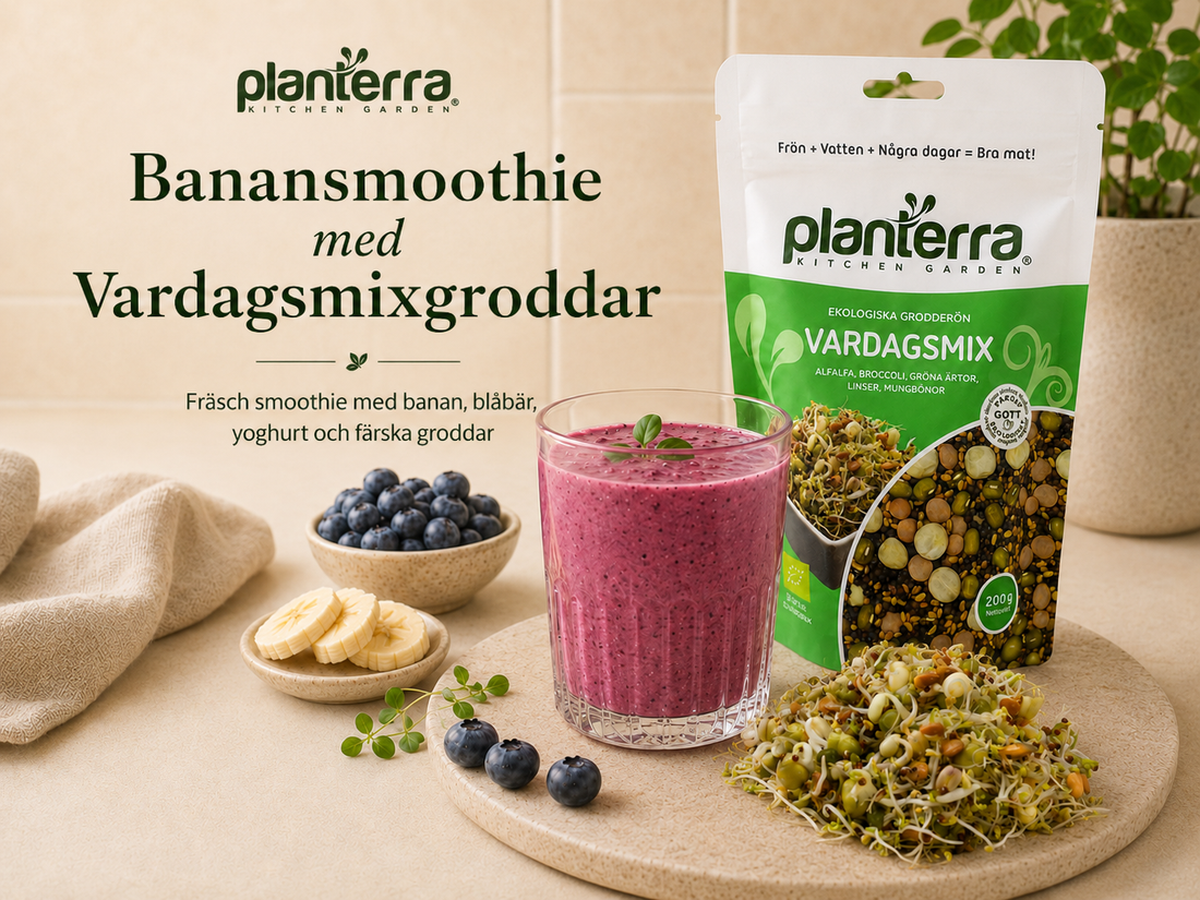 Banansmoothie med Vardagsmixgroddar