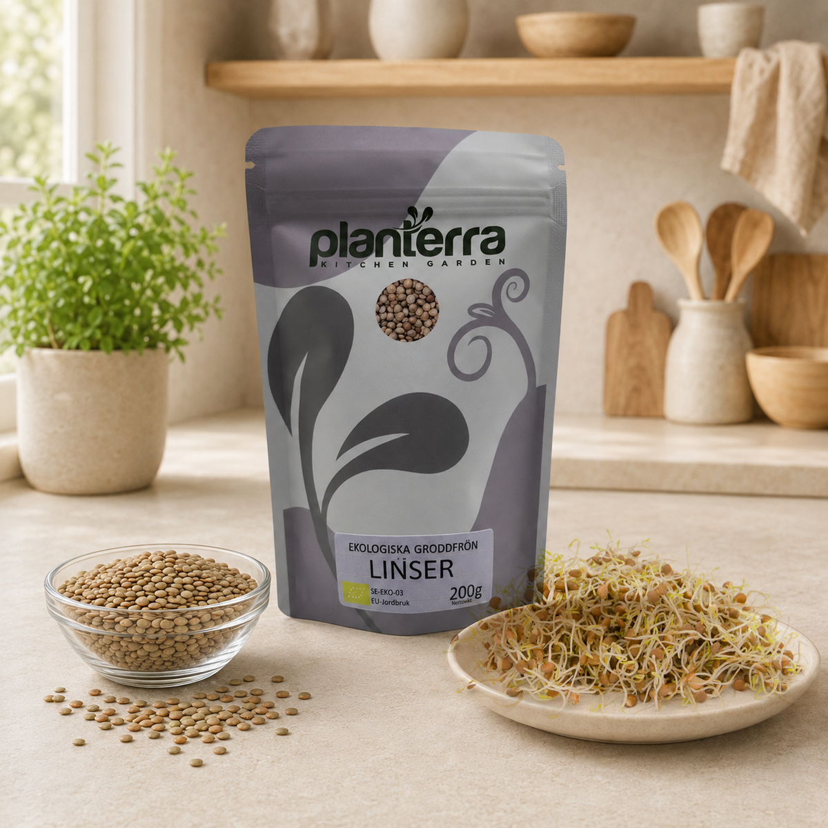 Ekologiska groddfrön Linser – 200 g