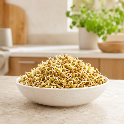 Ekologiska groddfrön Linser – 200 g