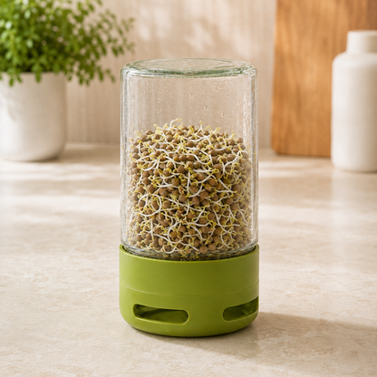 Ekologiska groddfrön Linser – 200 g