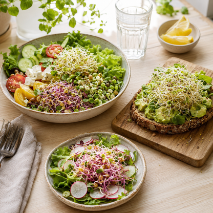 Planterra Startpaket Duo för groddodling – 2 burkar + 4 fröpåsar
