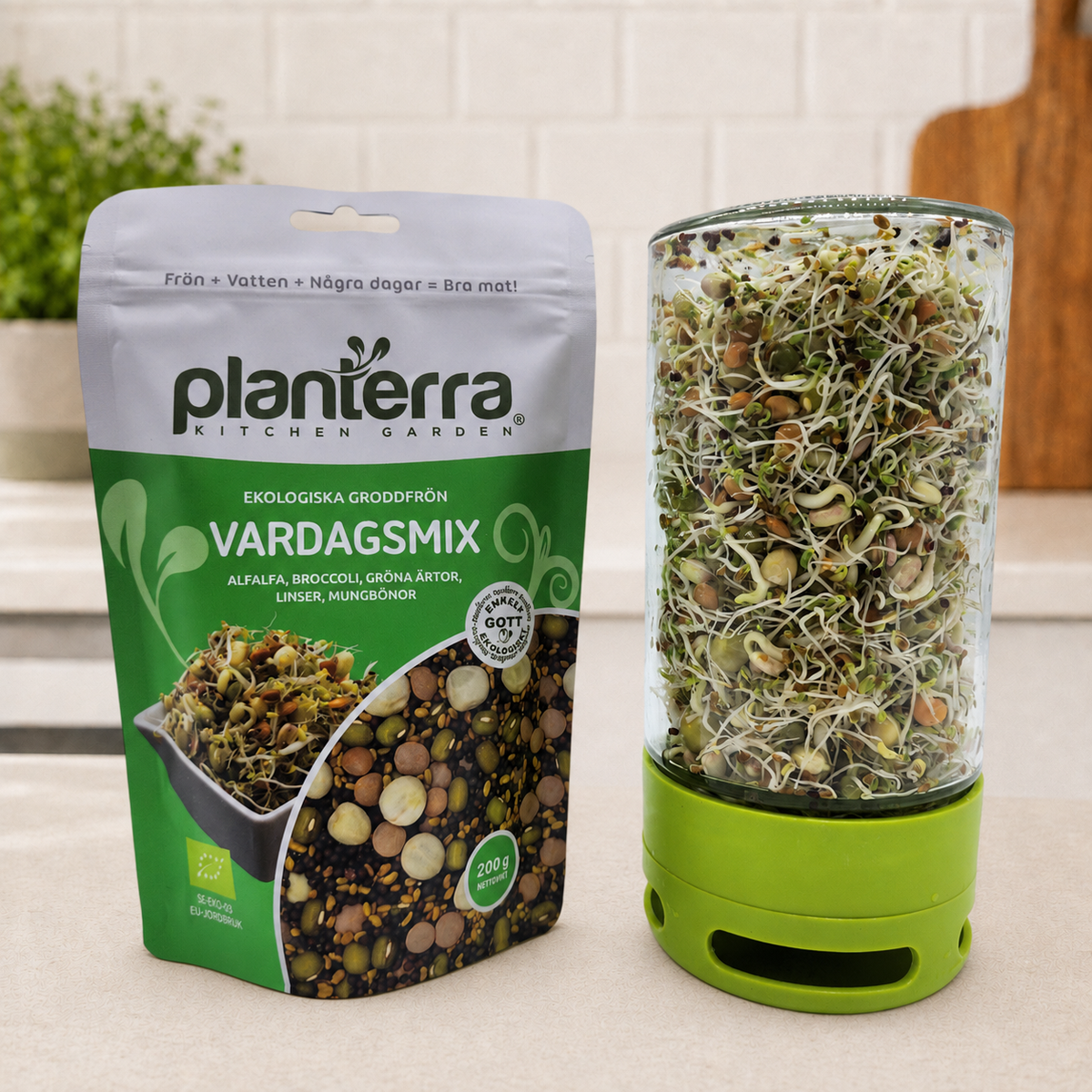 Ekologiska groddfrön Vardagsmix – 200 g