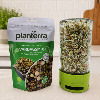 Ekologiska groddfrön Vardagsmix – 200 g