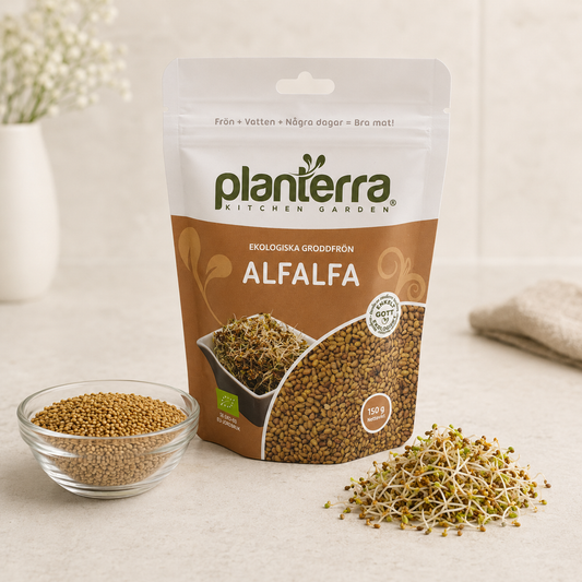 Ekologiska groddfrön Alfalfa – 150 g