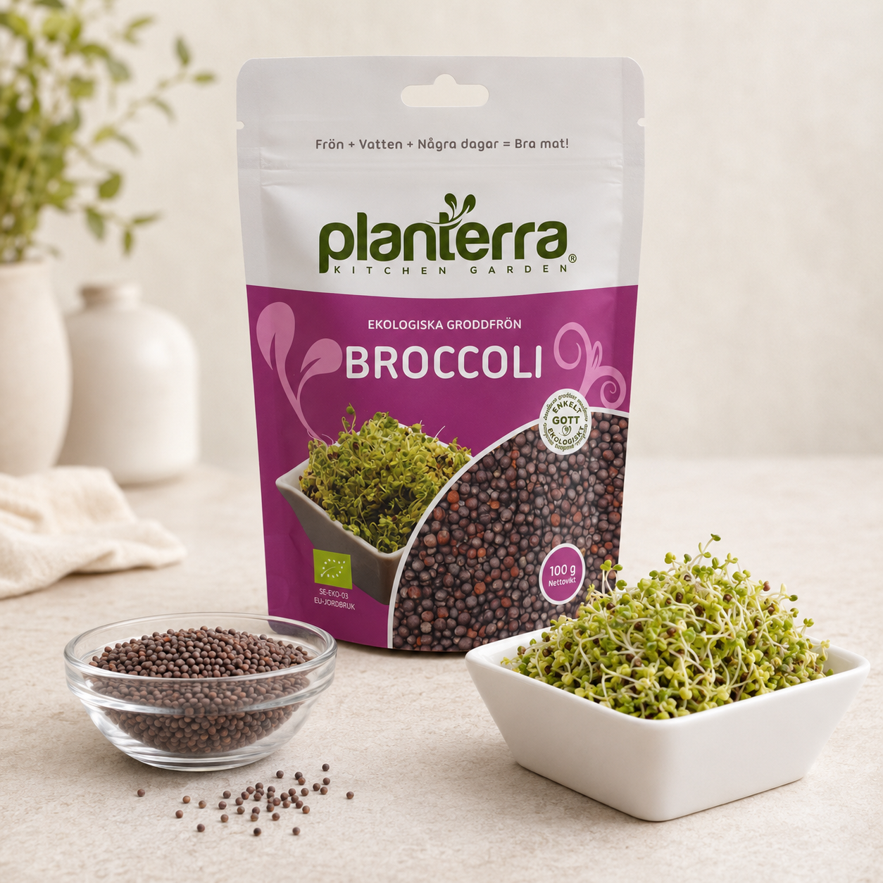 Ekologiska groddfrön Broccoli – 100 g