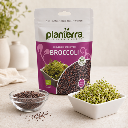 Ekologiska groddfrön Broccoli – 100 g