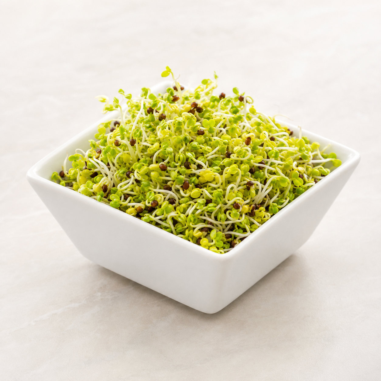 Ekologiska groddfrön Broccoli – 100 g
