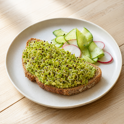 Ekologiska groddfrön Broccoli – 100 g
