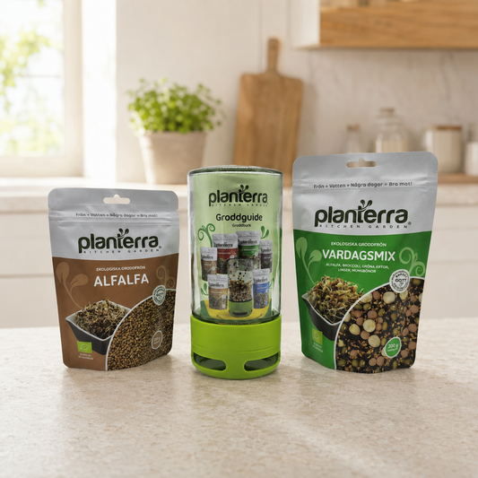 Planterra Startpaket för groddodling – groddburk + 2 fröpåsar