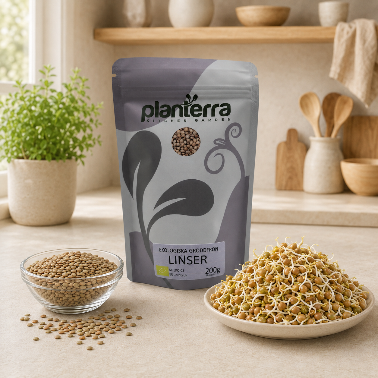 Ekologiska groddfrön Linser – 200 g