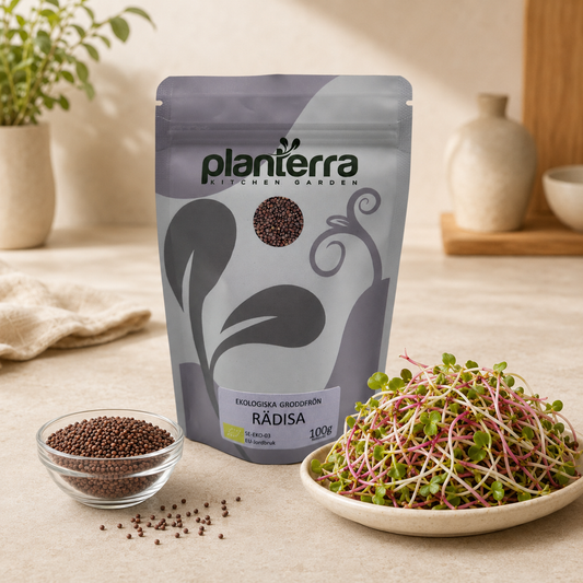 Ekologiska groddfrön Rädisa Chinarose – 100 g