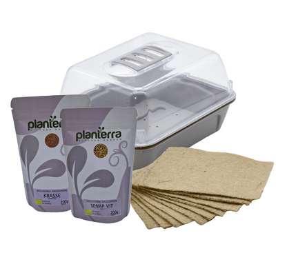 Startpaket Microgreens 1