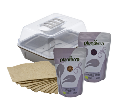 Startpaket Microgreens 2